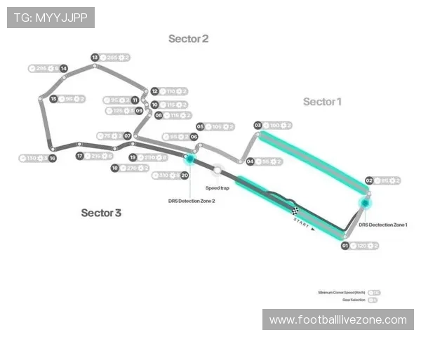 F1赛季最新战况解析车队策略与车手表现全面回顾