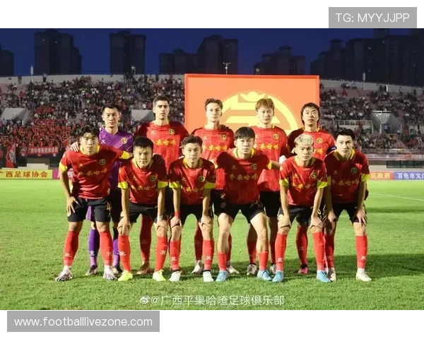 北京足球联赛最新积分榜分析及各支球队实力对比揭秘